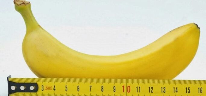 измерване на пениса с помощта на банан като пример преди операция за уголемяване