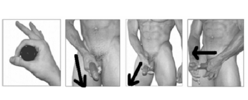 jelqing за уголемяване на пениса